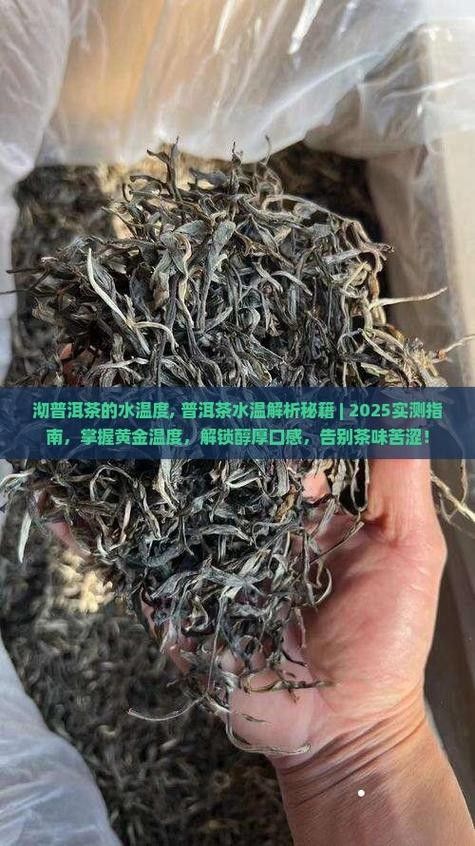 龍魚缸可以放熟普洱茶嗎視頻講解圖片