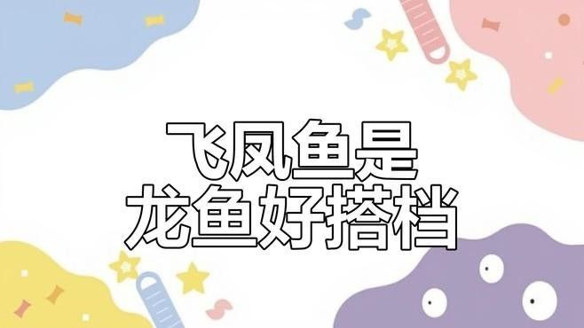 飛鳳可以跟龍魚混養嗎圖片