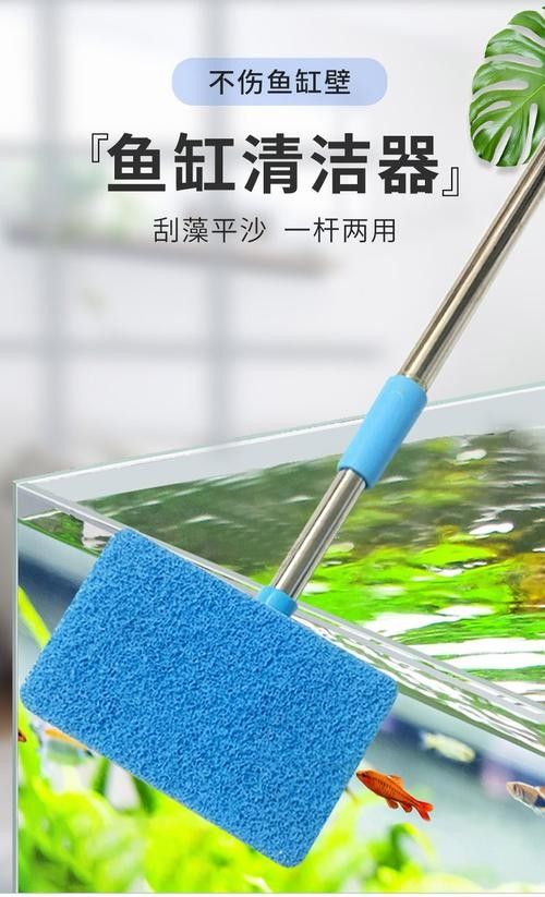 龍魚魚缸怎么清理
