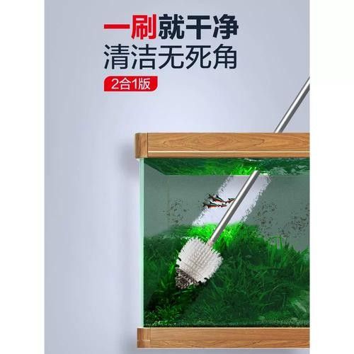 龍魚魚缸怎么清理