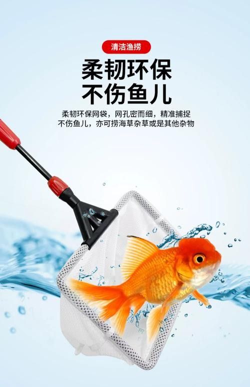 龍魚魚缸怎么清理