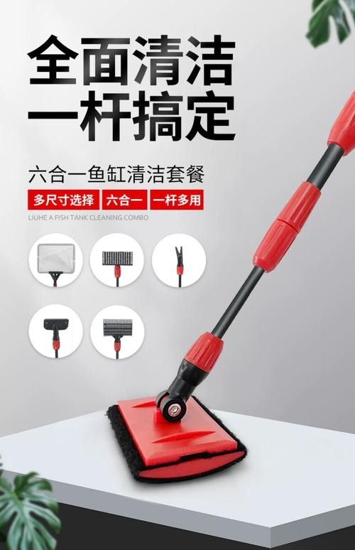 龍魚魚缸怎么清理