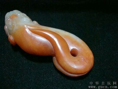 紅色的龍魚配魚好看嗎（紅龍魚與紅龍魚混養(yǎng)的20種配魚圖鑒大全）