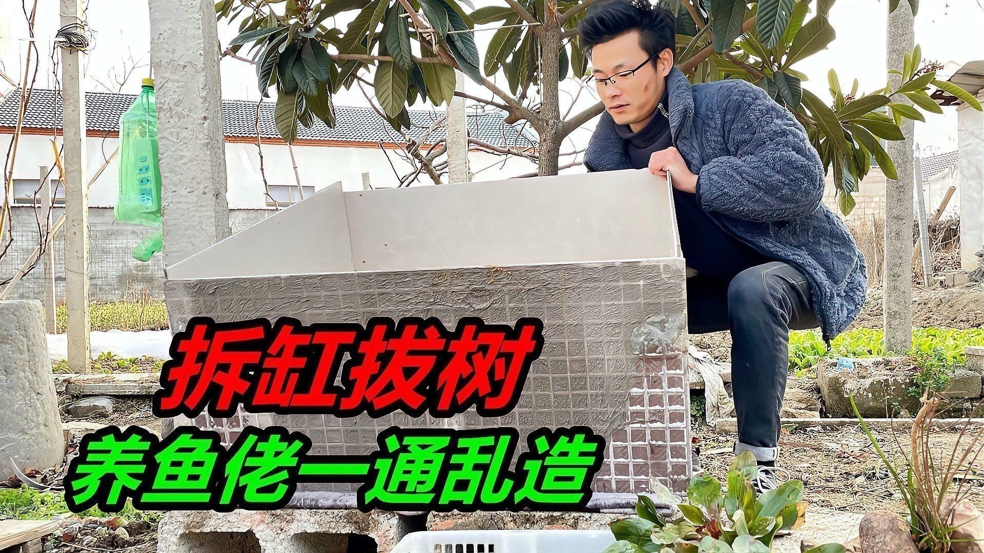 金龍魚能吃葡萄嗎