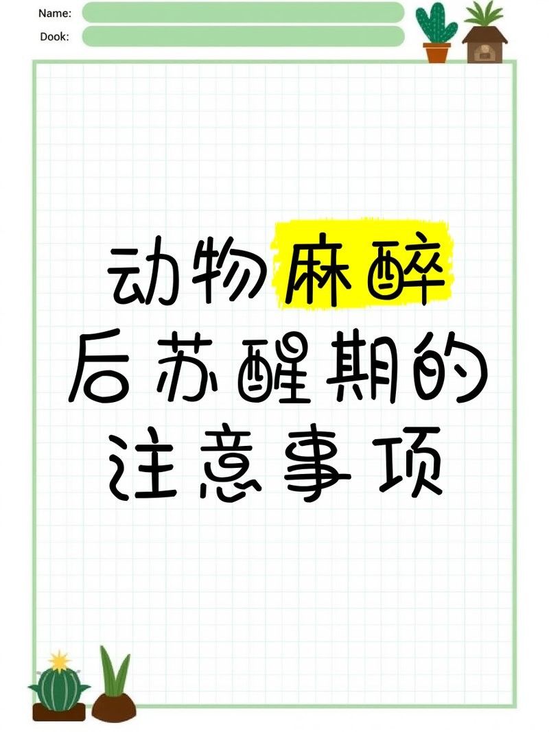 龍魚麻醉過后多久恢復身體正常