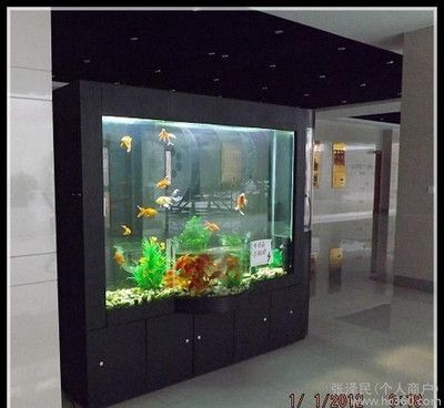 魚缸設計圖片大全（如果您正在尋找魚缸設計圖片）