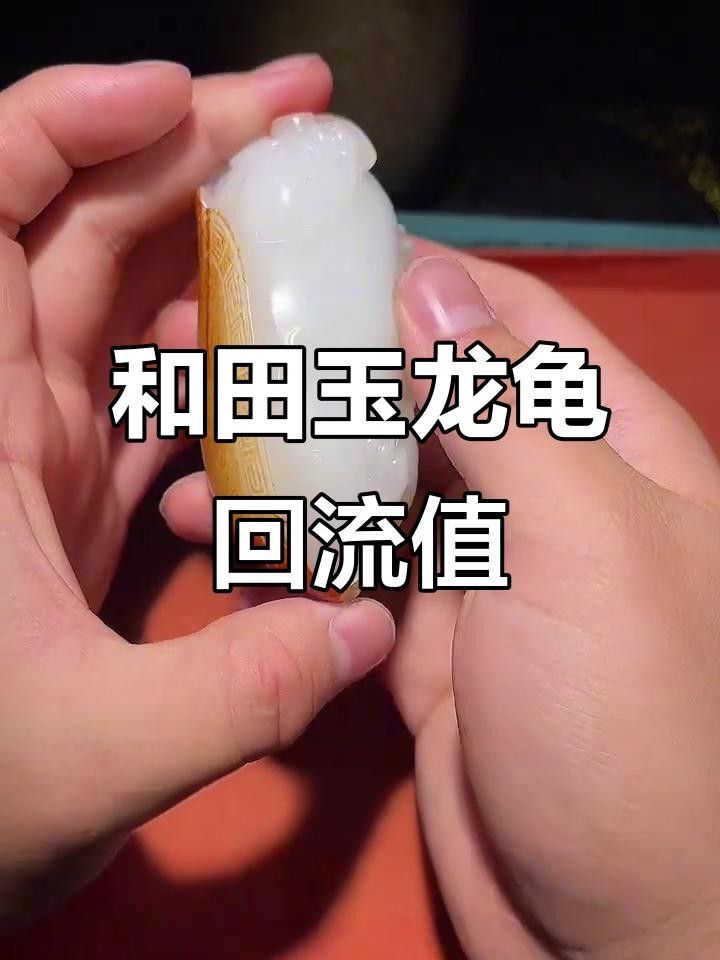 龍龜材質中哪種最值錢？