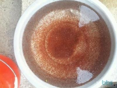 金龍魚必須吃活食么：關于金龍魚的飲食習慣，我們可以從搜索結果中了解到一些信息