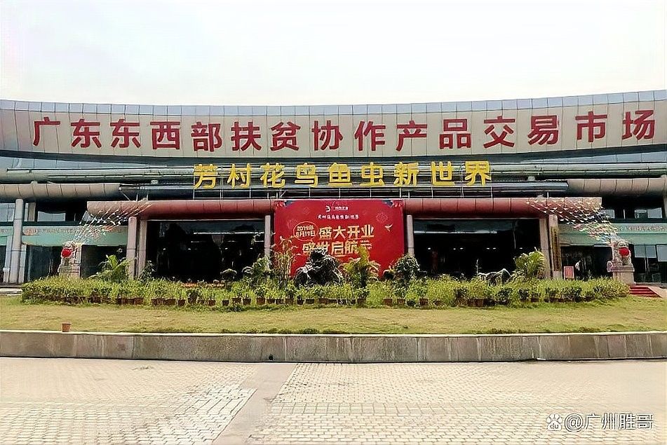 龍魚市場有哪些知名的交易市場