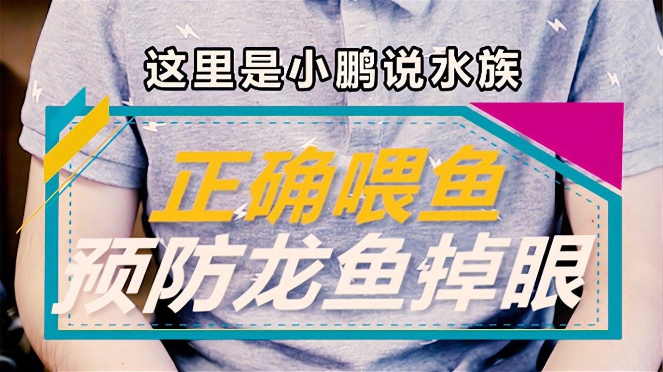 防止龍魚掉眼的最佳方法是什么呢視頻