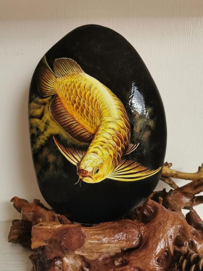 畫金龍魚的圖片大全