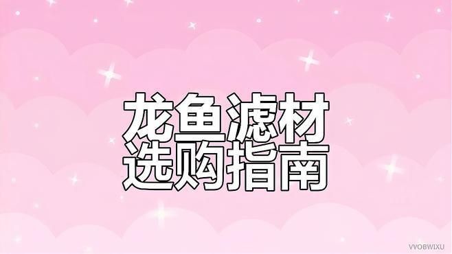 龍魚用哪5種濾材最好