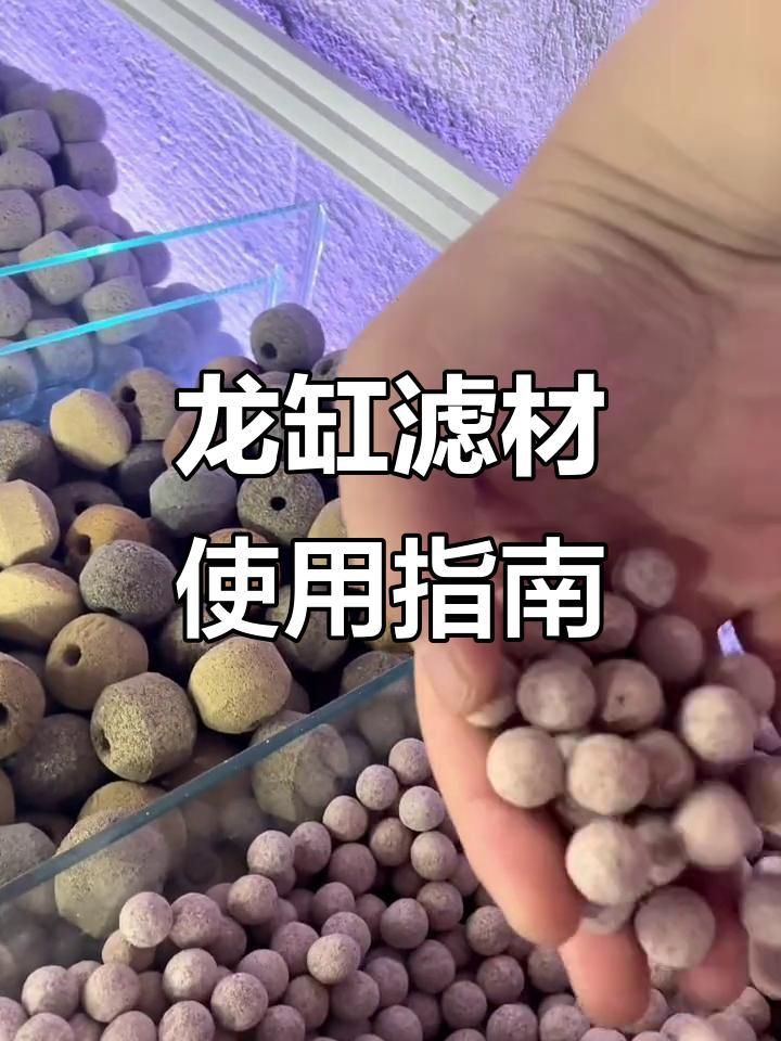 龍魚用哪5種濾材最好