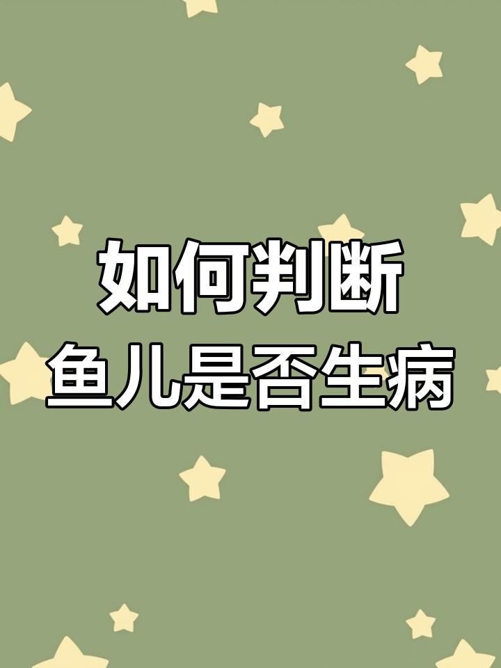 如何判斷魚兒是否生病？