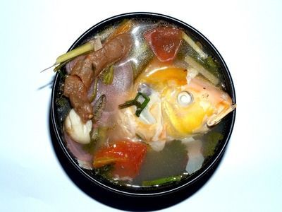 龍魚可以喂鯉魚肉嗎視頻教程：龍魚可以吃鯉魚肉嗎，