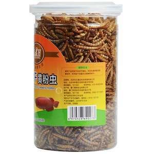龍魚可以喂鯉魚肉嗎視頻教程：龍魚可以吃鯉魚肉嗎，