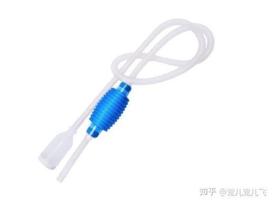 金龍魚擦缸的行為可能由多種原因引起：金龍魚擦缸的原因有哪些