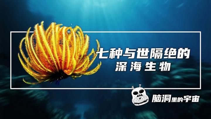 深海龍魚的圖片大全集