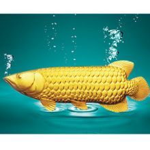 金龍魚魚王多少錢一包：“金龍魚魚王”多少錢一包？