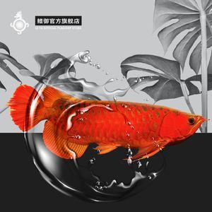 赤血紅龍魚賽級：赤血紅龍魚賽級的網址推薦