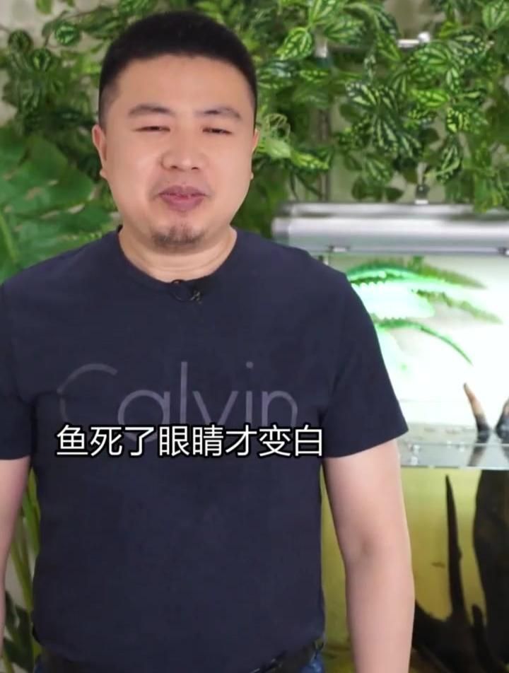 如何判斷魚蒙眼的病情輕重？