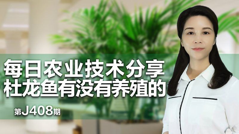 汕頭杜龍魚是什么魚種圖片大全