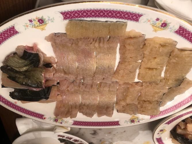 汕頭杜龍魚是什么魚種圖片大全
