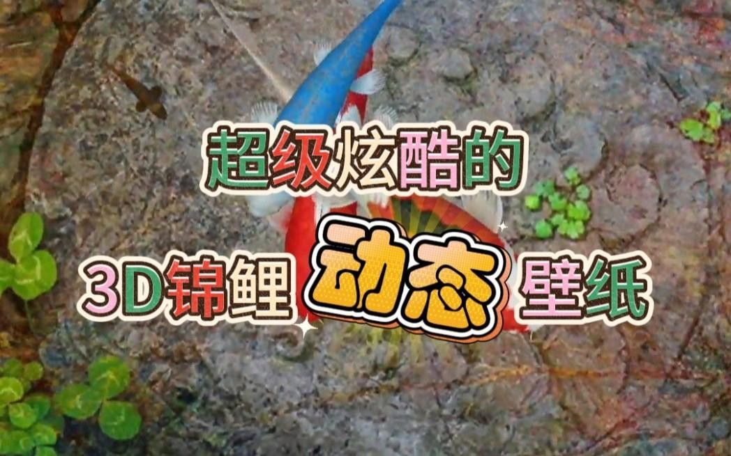 有哪些免費金龍魚動態壁紙？