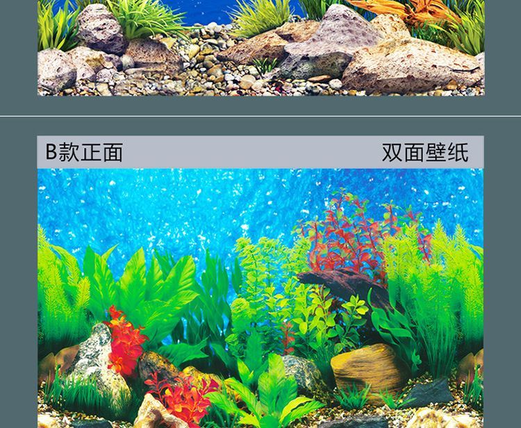 紅龍魚魚缸背景圖怎么選（養紅龍魚缸用什么背景好）