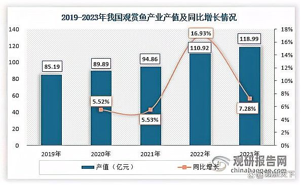 橙紅龍魚的市場趨勢如何？