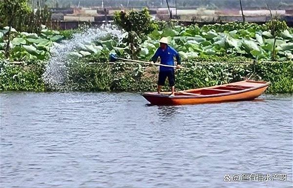 龍魚爛身病如何早期發(fā)現(xiàn)？