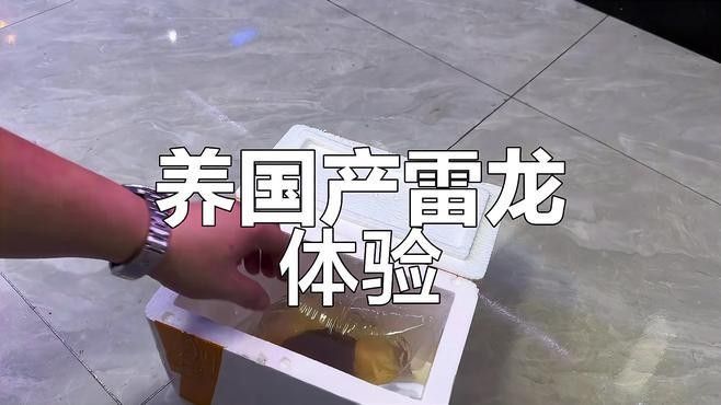 雷龍魚在哪買