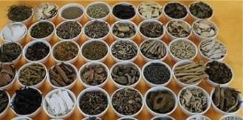 龍魚懷孕多久能產卵：如何判斷龍魚是否懷孕
