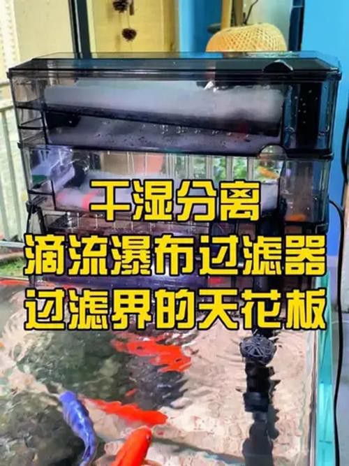 專業(yè)龍魚缸底濾槽設(shè)計(jì)圖