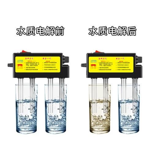 銀龍魚是怎么養的圖片 銀龍魚是怎么養的圖片 龍魚百科 第39張