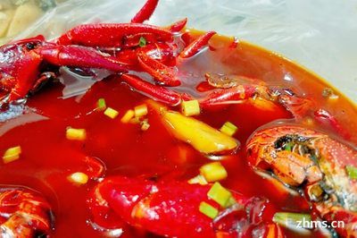 紅龍魚怎么調(diào)理狀態(tài)好一點（淺談紅龍魚的調(diào)理狀態(tài)）