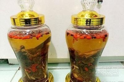 紅龍魚怎么調(diào)理狀態(tài)好一點（淺談紅龍魚的調(diào)理狀態(tài)）
