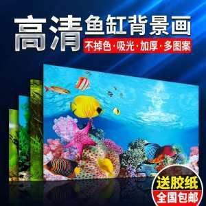 金龍魚缸價(jià)格多少：金龍魚缸價(jià)格多少金龍魚缸價(jià)格多少金龍魚缸價(jià)格信息 金龍魚缸價(jià)格多少：金龍魚缸價(jià)格多少金龍魚缸價(jià)格多少金龍魚缸價(jià)格信息 龍魚百科 第3張