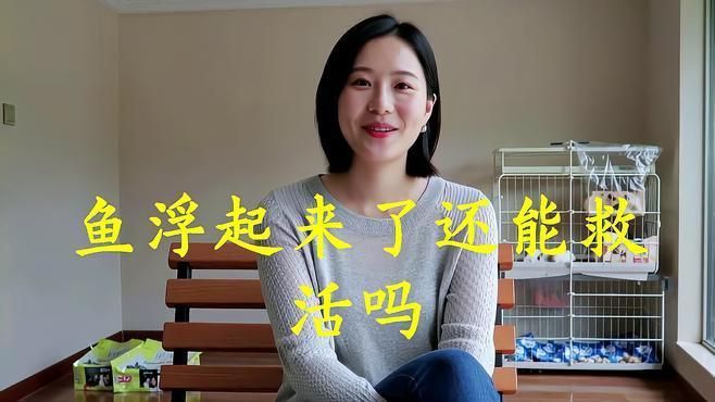 龍魚浮背會自己恢復嗎？