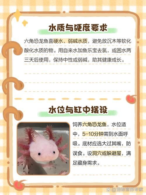 六角龍魚水溫多少合適養
