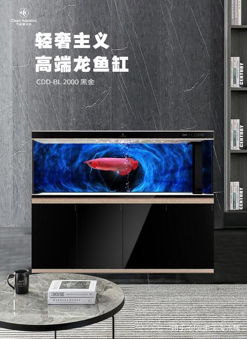 保定龍魚回收價格表圖片
