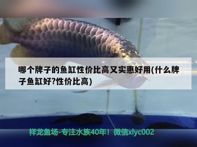 紅龍魚(yú)和金龍魚(yú)混養(yǎng)開(kāi)什么燈好呢視頻：紅金龍魚(yú)和什么魚(yú)一起養(yǎng)