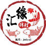 錦鯉多大能看出品相