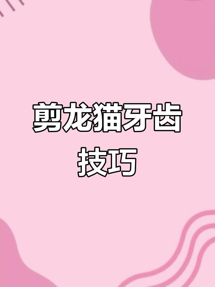 龍貓牙齒斷裂后如何護理？