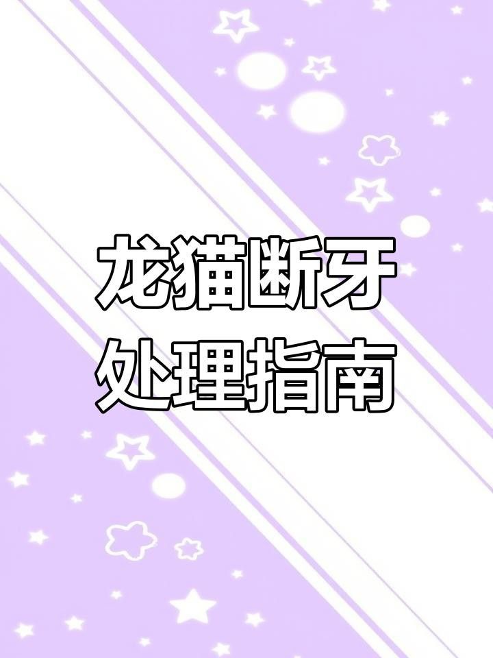 龍貓牙齒斷裂后如何護理？