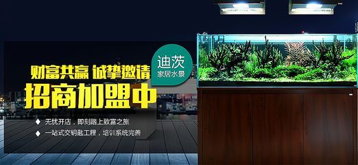 水族館加盟找祥龍魚場怎么樣（水族館加盟_水族館加盟費查詢網賺錢超級簡單）