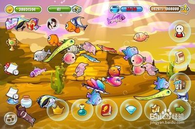 玉面皇冠魚能和龍魚一起養嗎（玉面皇冠魚與龍魚混養存在一定的風險和挑戰結果的詳細分析）