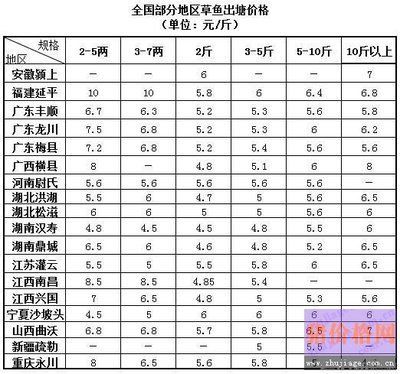 龍魚缸夏天需要降溫嗎：夏天魚缸如何降溫