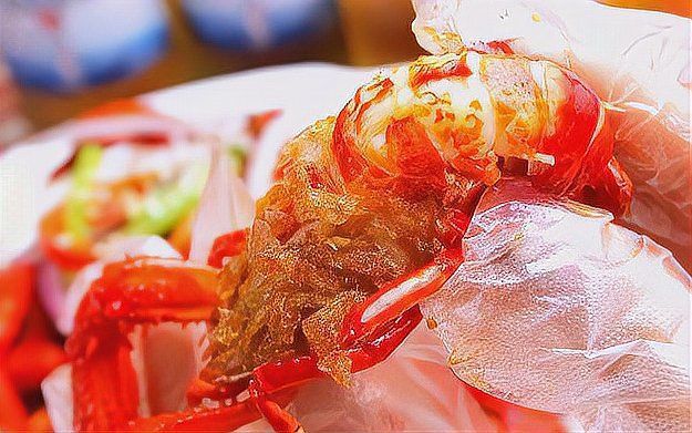 龍蝦屬于蟲類還是魚類
