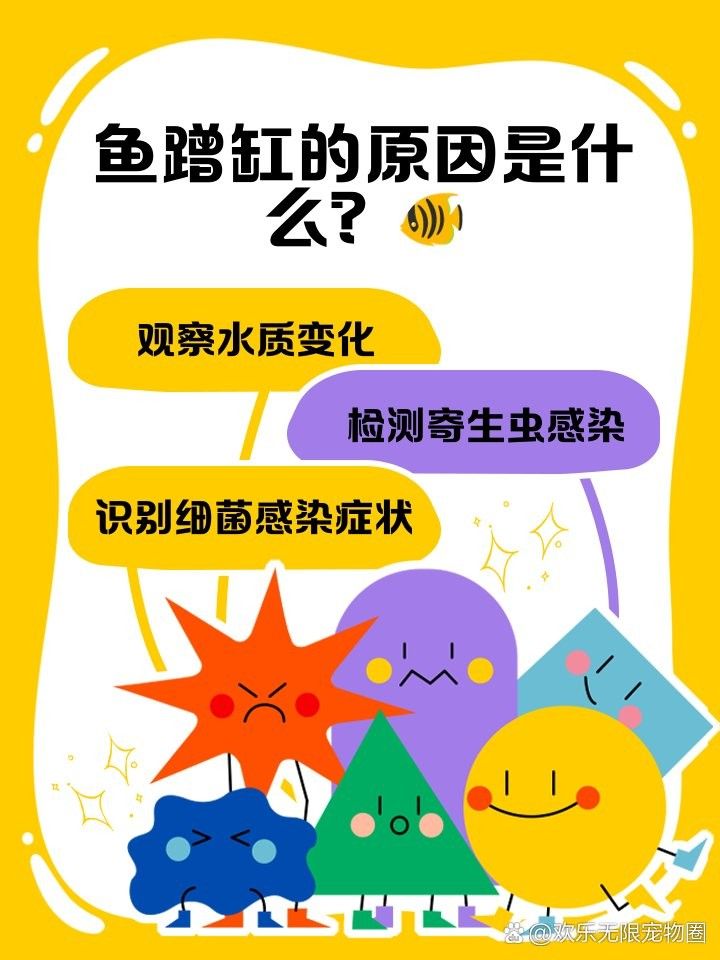 龍魚缸底游時(shí)不時(shí)曾缸底